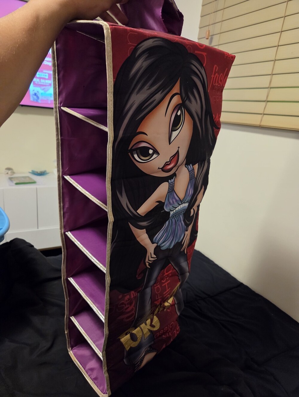 bratz closet organizer